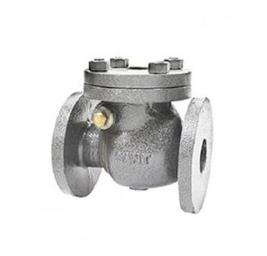 Sant Cast Iron Swing Check Valve Renewable Disc 200 mm, CI 3C